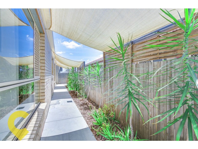 55 Tone Drive, Collingwood Park QLD 4301