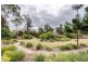 31 Viewpoint Drive, Springfield Lakes QLD 4300