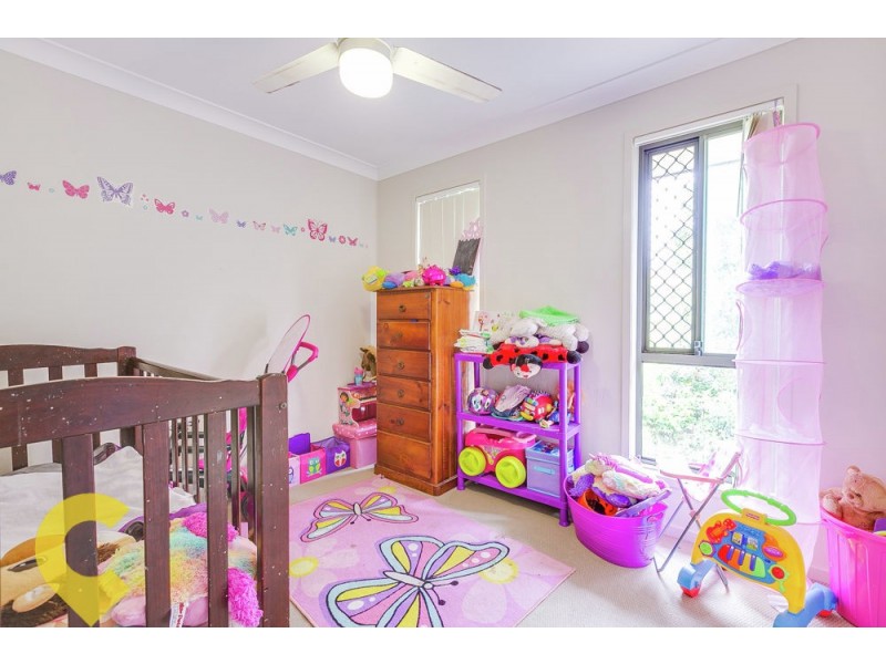 9 Rasmussen Crescent, Redbank Plains QLD 4301