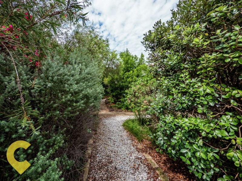 14 Bluebird Avenue, Ellen Grove QLD 4078