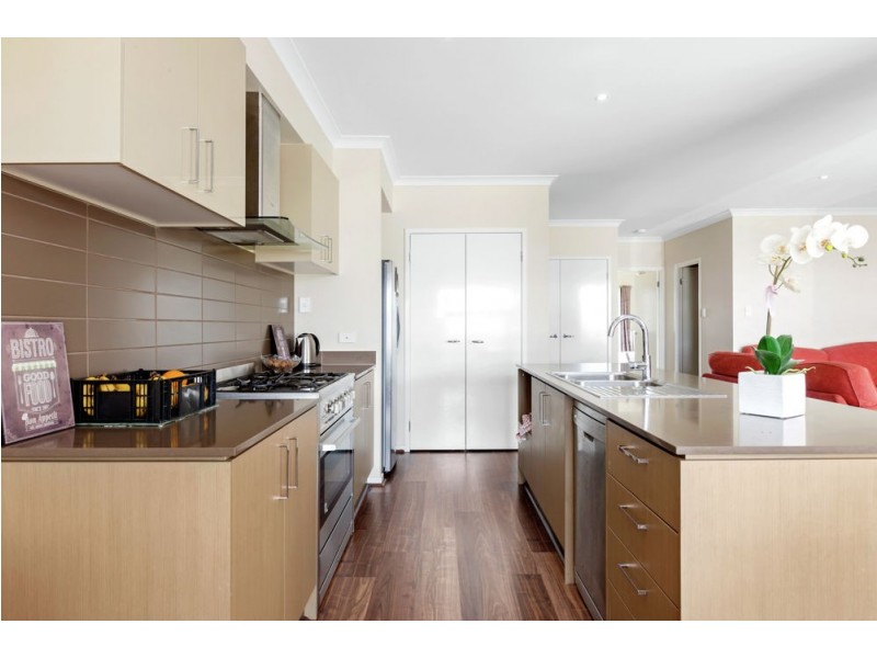 61 Opperman Drive, Springfield Lakes QLD 4300