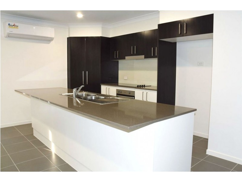 20 Opossum Circuit, Springfield Lakes QLD 4300