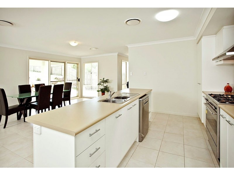 17 Pelagian Street, Augustine Heights QLD 4300
