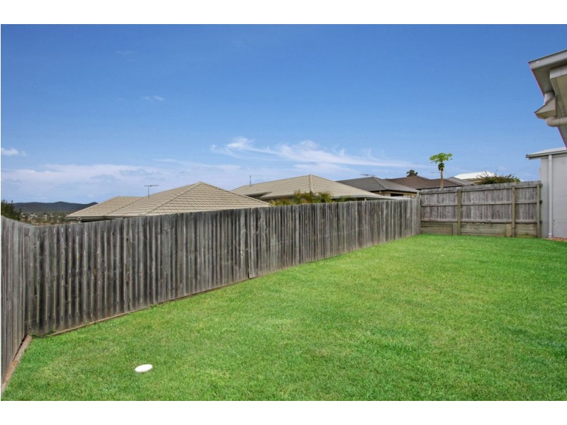 53 Summit Drive, Springfield Lakes QLD 4300