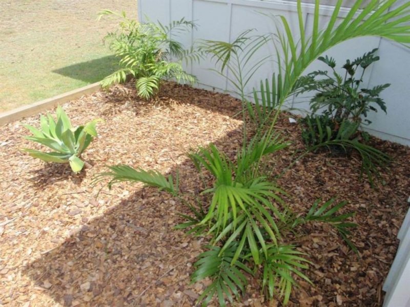 7 Freesia Close, Springfield Lakes QLD 4300