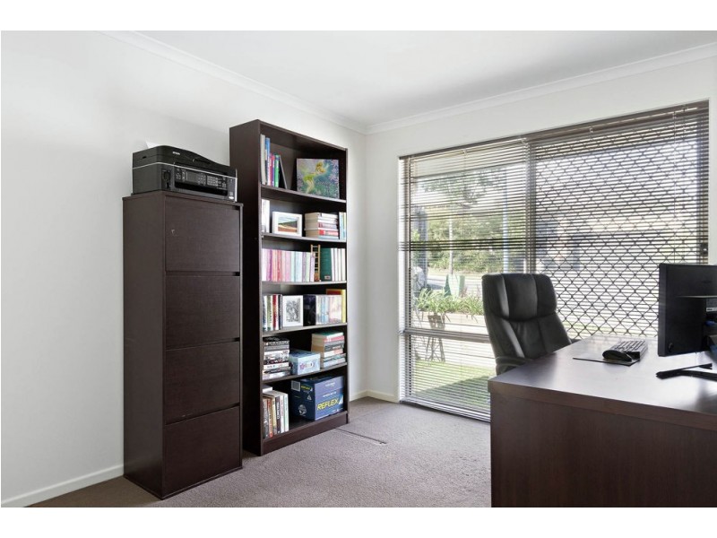 19 Daisy Street, Springfield Lakes QLD 4300