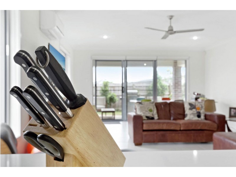 16 Hyssop Place, Springfield Lakes QLD 4300