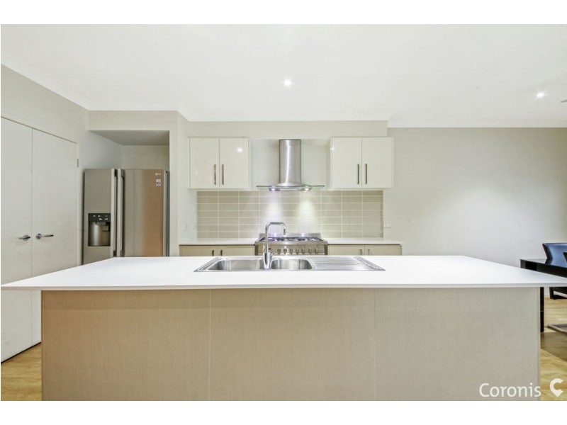 41 Tea Trees Avenue, Springfield Lakes QLD 4300