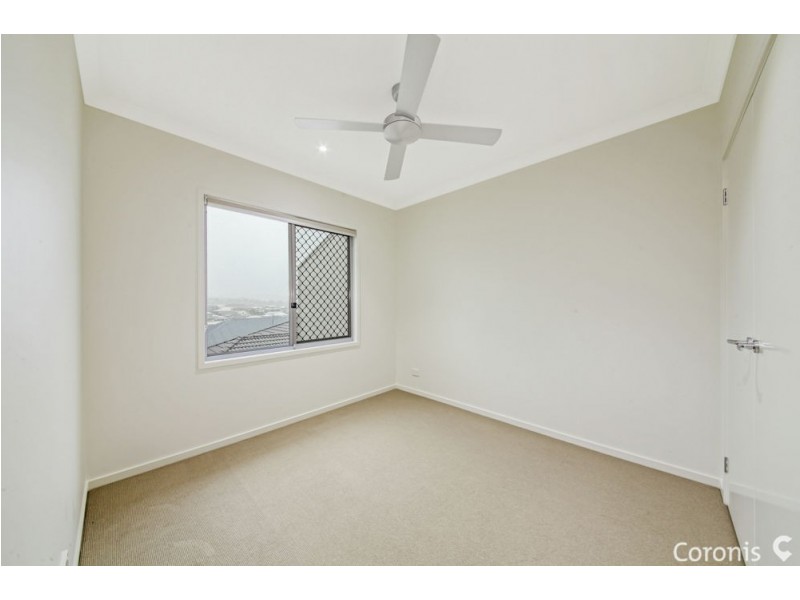 41 Tea Trees Avenue, Springfield Lakes QLD 4300