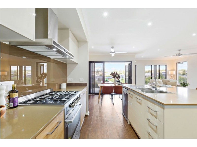 49 Serene Crescent, Springfield Lakes QLD 4300