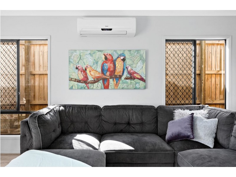 11 Neroli Drive, Springfield Lakes QLD 4300