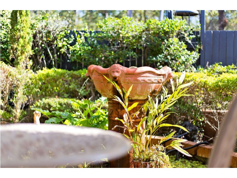 12 Billabong Place, Springfield QLD 4300