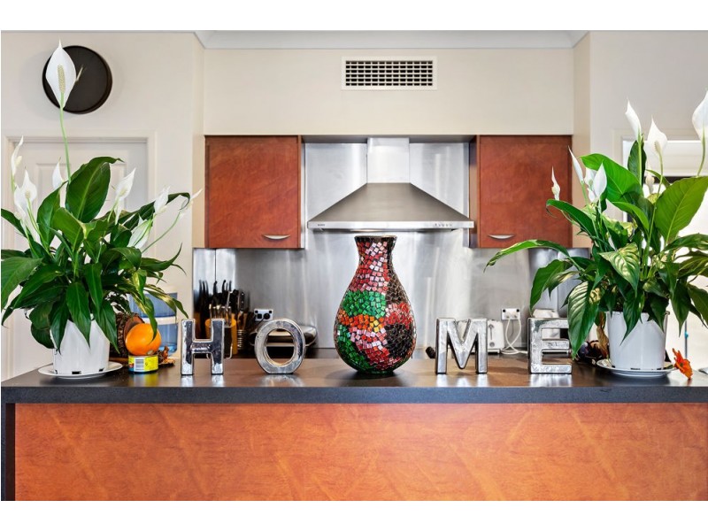 14 Ash Avenue, Springfield Lakes QLD 4300