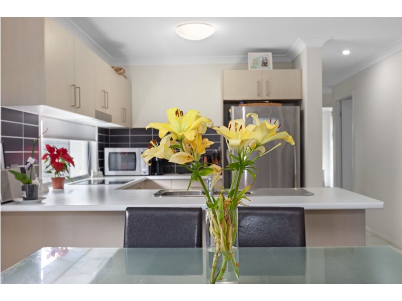 14 Kirkwood Terrace, Springfield Lakes QLD 4300