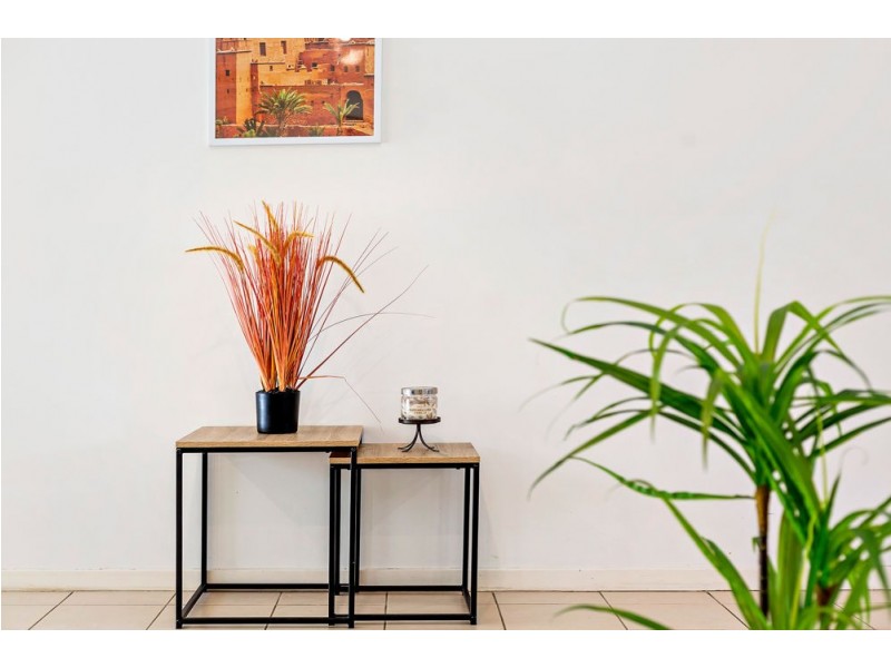 55 Admiral Crescent, Springfield Lakes QLD 4300