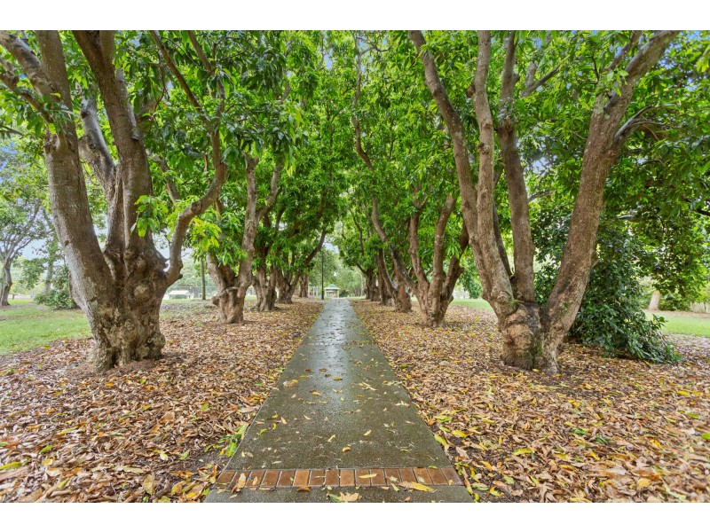 22 Elderslie Place, Forest Lake QLD 4078