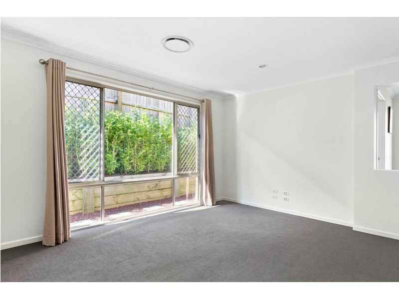 19 Daisy Street, Springfield Lakes QLD 4300