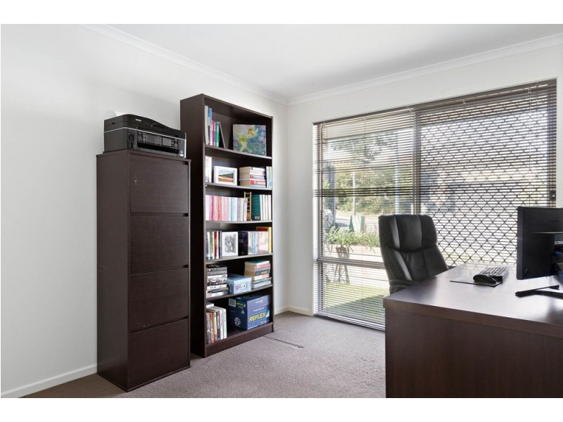 19 Daisy Street, Springfield Lakes QLD 4300