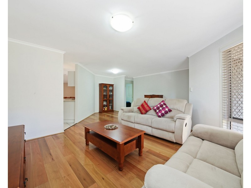 16 Fossicker Circuit, Springfield QLD 4300
