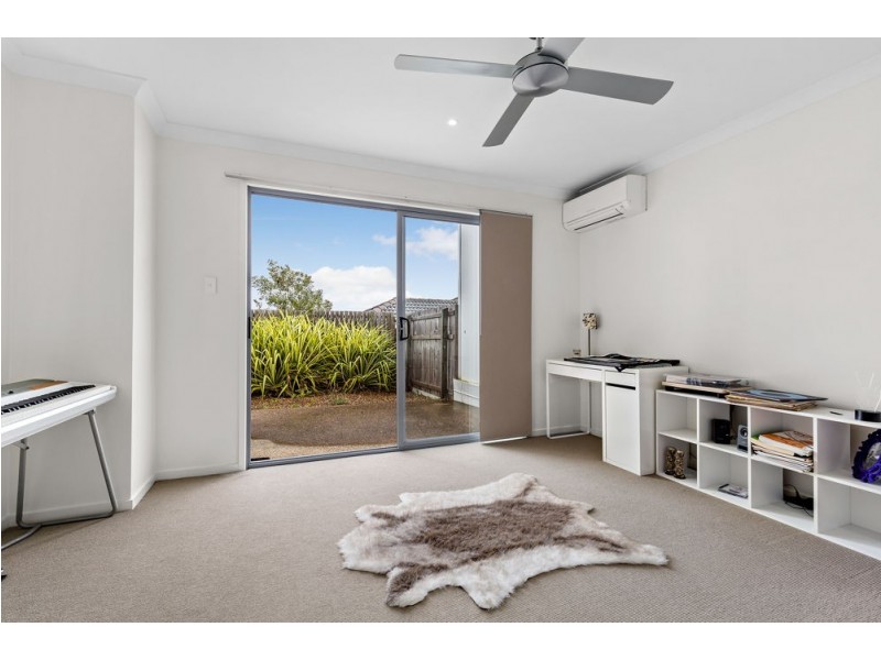 41 Tea Trees Avenue, Springfield Lakes QLD 4300