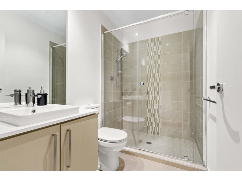 41 Tea Trees Avenue, Springfield Lakes QLD 4300
