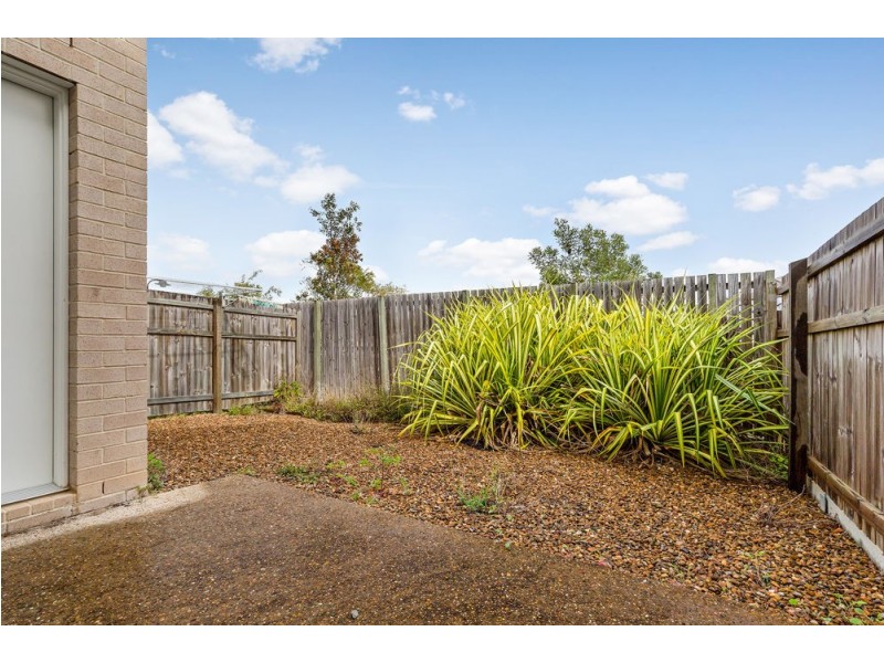 41 Tea Trees Avenue, Springfield Lakes QLD 4300