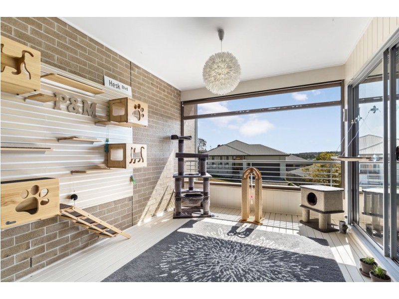 63 Opperman Drive, Springfield Lakes QLD 4300