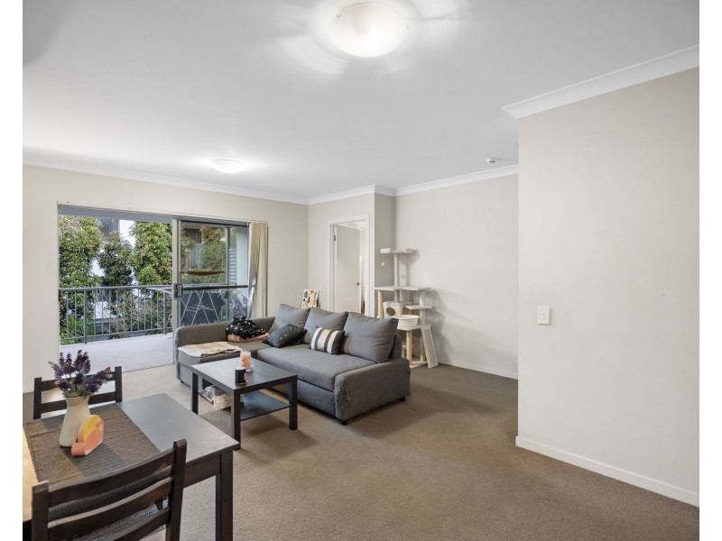 8/37 Palmer Street, Greenslopes QLD 4120