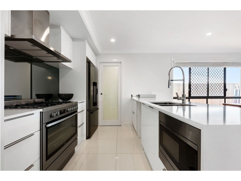 20 Tambor Crescent, Pallara QLD 4110