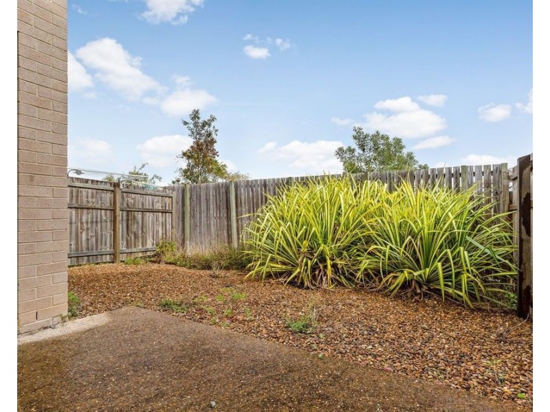 41 Tea Trees Avenue, Springfield Lakes QLD 4300