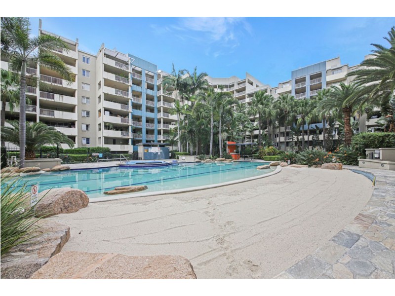 12/592 Ann Street, Fortitude Valley QLD 4006