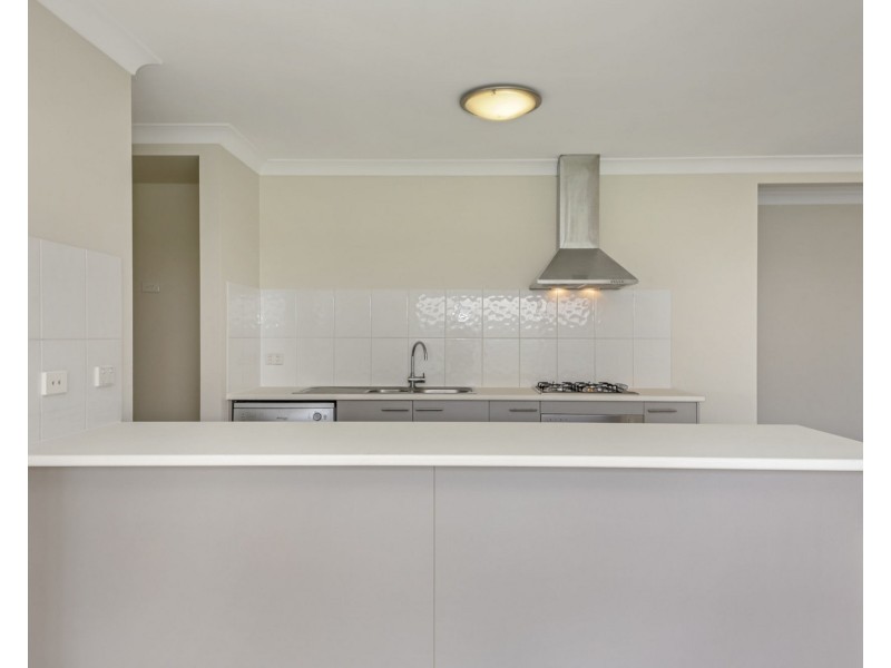 43 Anesbury Street, Doolandella QLD 4077