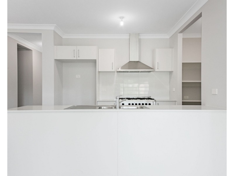9 Cycad Street, Park Ridge QLD 4125