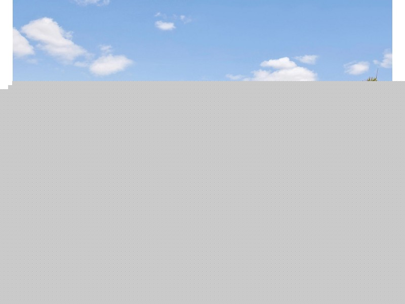 28 Caraway Street, Springfield Lakes QLD 4300