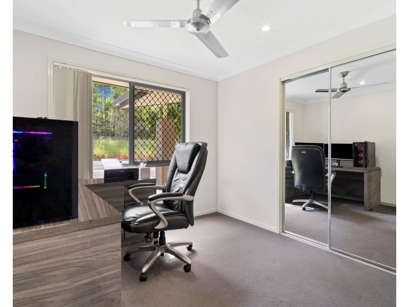 245 Sunbird Drive, Redbank Plains QLD 4301