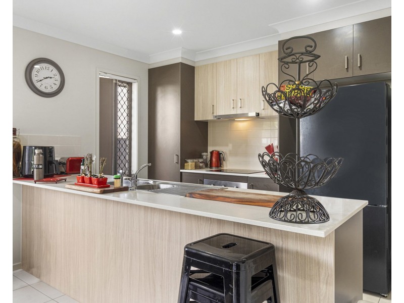 14 Swift Close, Redbank Plains QLD 4301