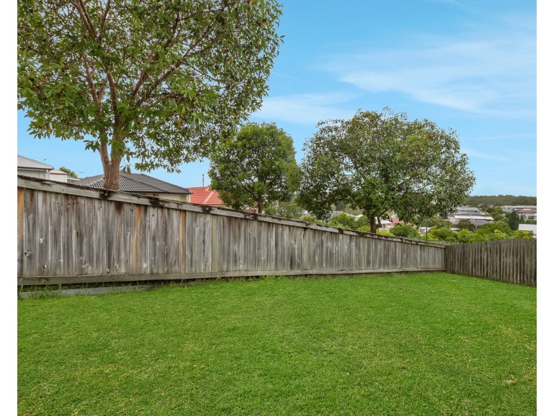 20 Greentrees Terrace, Springfield Lakes QLD 4300