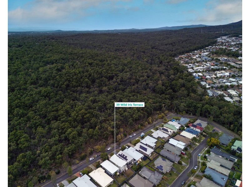 39 Wild Iris Terrace, Springfield Lakes QLD 4300