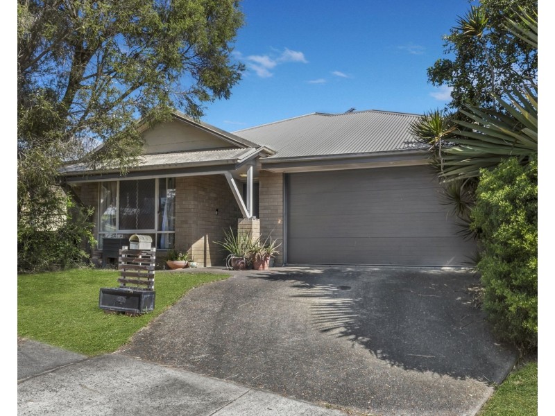 17 Park Edge Drive, Springfield Lakes QLD 4300