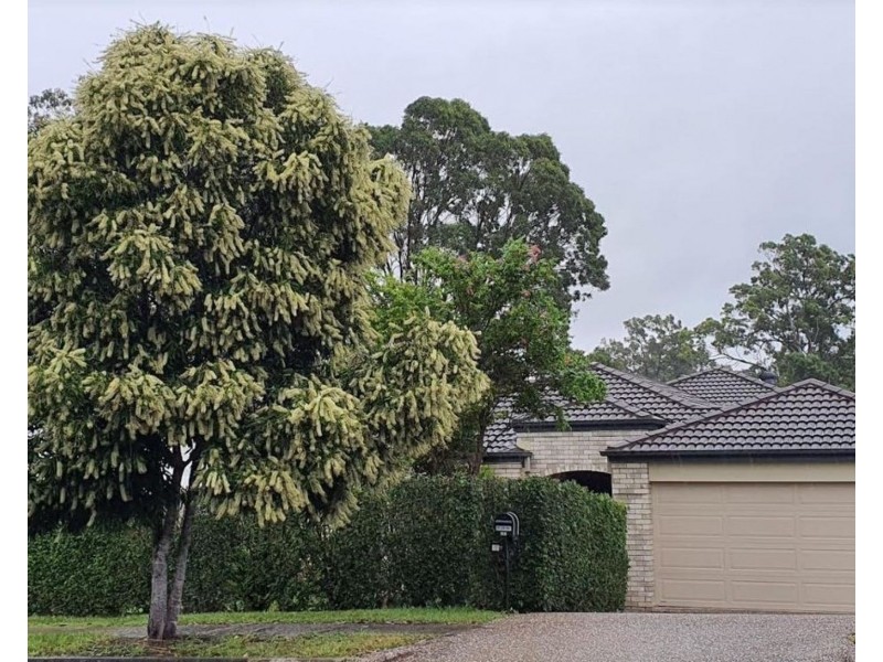 117 Livesay Rd, Moggill QLD 4070