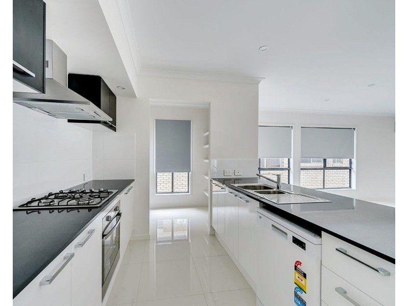 30 Tuckeroo Street, Ripley QLD 4306