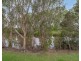 5 Caribou Cres, Upper Coomera QLD 4209