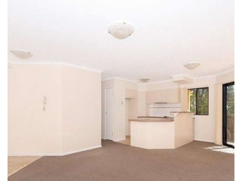 3/19 Franklin St, Kelvin Grove QLD 4059