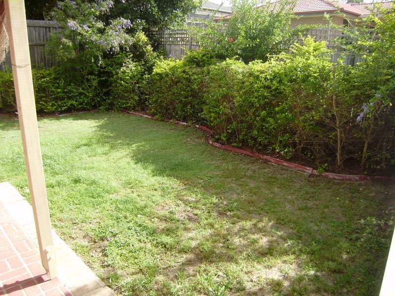 25 Karamea Avenue, Springfield QLD 4300