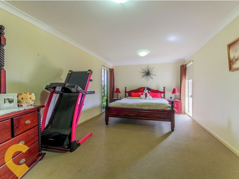 14 Cloudland Court, Springfield QLD 4300