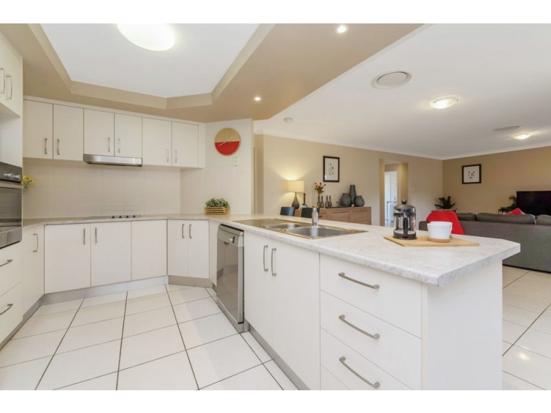 15 Danaid Street, Springfield Lakes QLD 4300