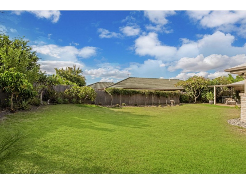 15 Danaid Street, Springfield Lakes QLD 4300