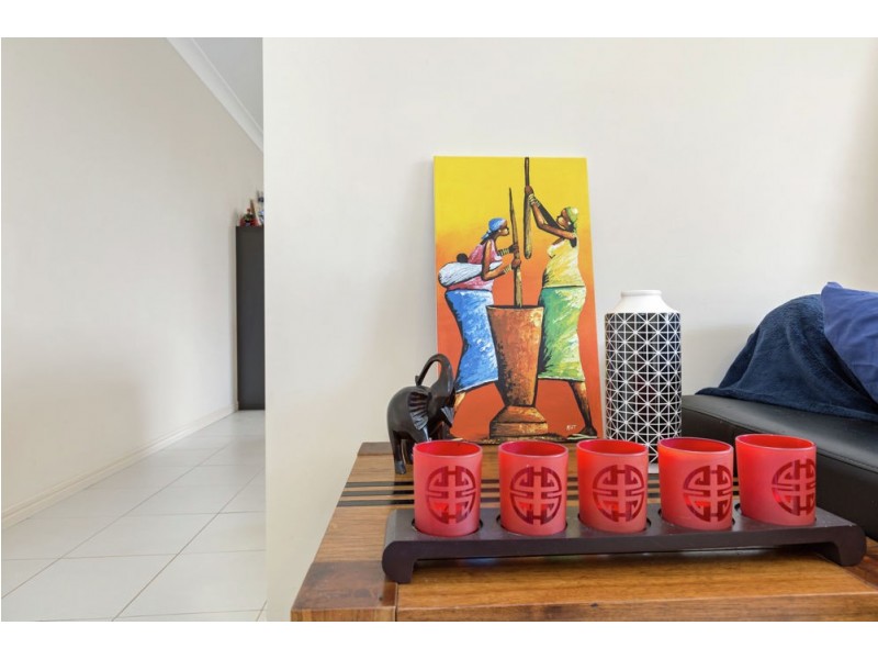 13 Lakes Entrance Drive, Springfield Lakes QLD 4300