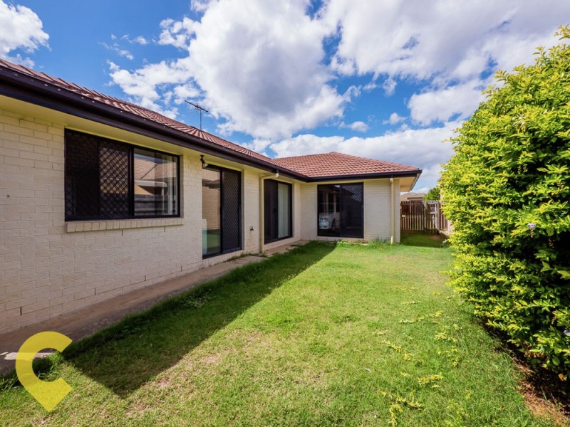 55 Jezabel Drive, Springfield Lakes QLD 4300