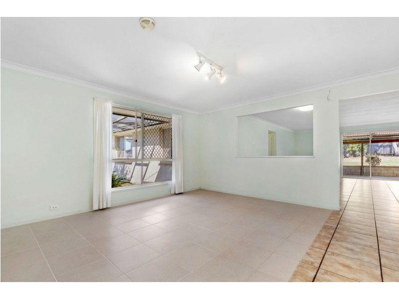 10 Buckwood Court, Springfield QLD 4300